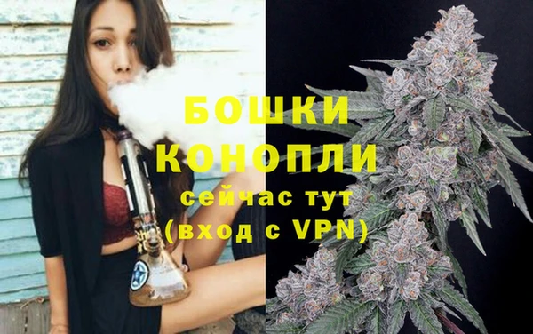 бошки Богородицк